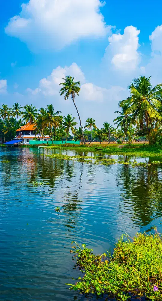  a vibrant yellow and blue boat gliding through a serene waterway flanked by lush green palm tree