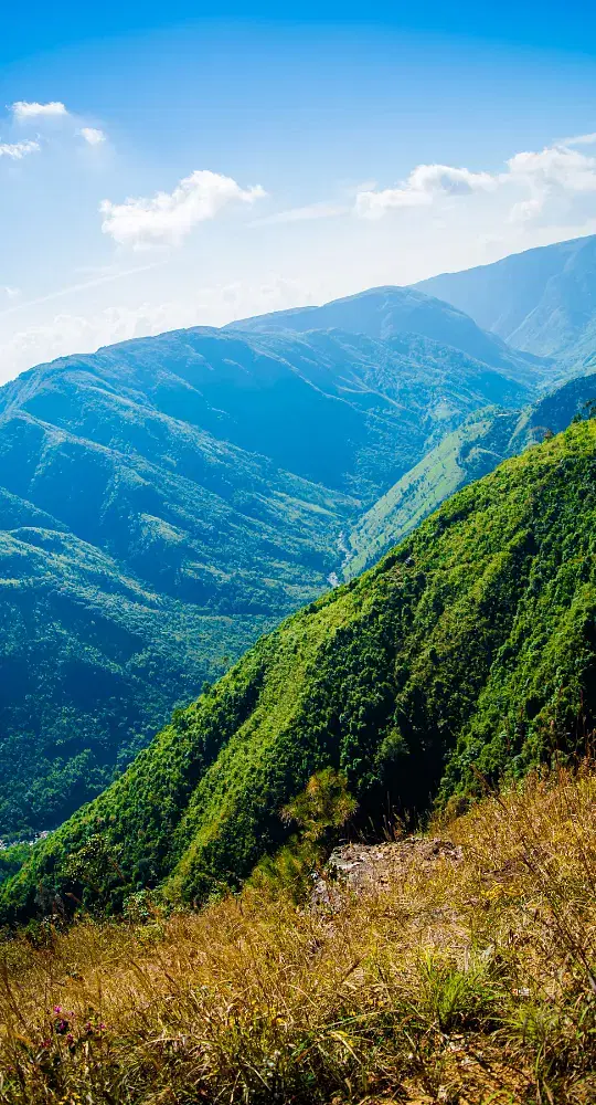 A tranquil river scene in Meghalaya, surrounded by lush green forests