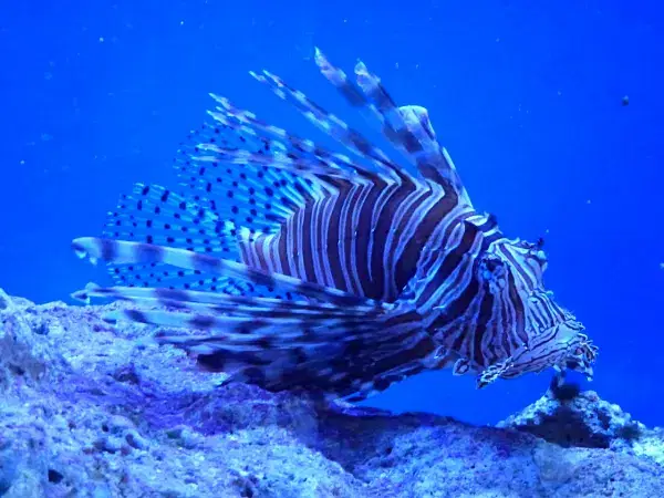 Ang Thong National Marine Park