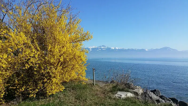 Lausanne