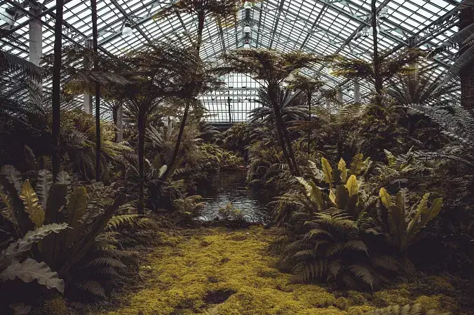 Ooty Botanical Gardens