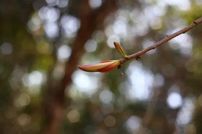 Cat Tien National Park