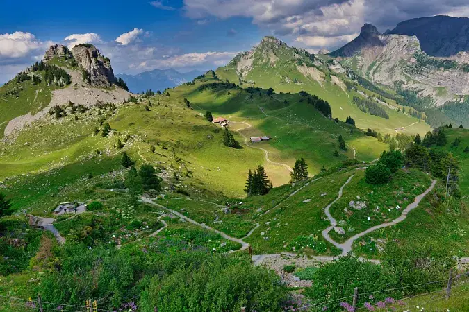 Silent Valley View