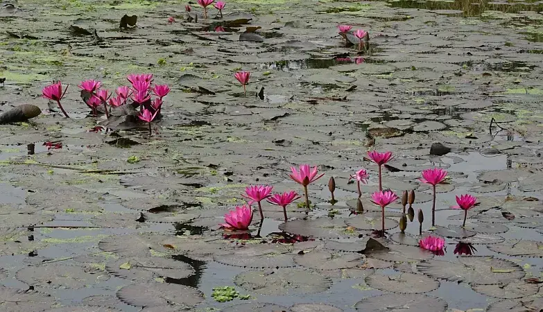 Shobhabajar Rajbari