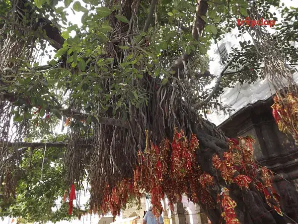 Baglamukhi Temple Kangra