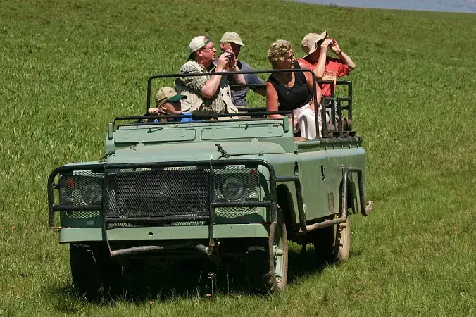 Jeep Safari