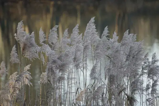 Naphak Lake