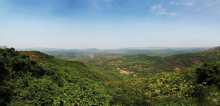 Amboli