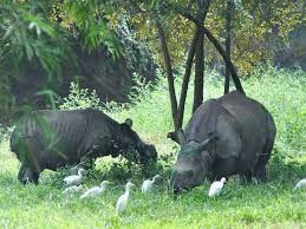 Assam State Zoo And Botanical Gardens