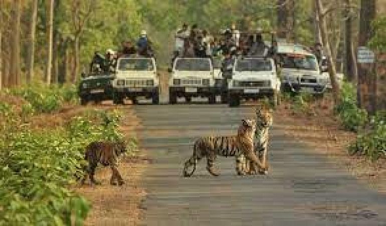 Bannerghatta National Park