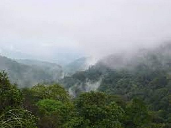 Brahmagiri Wildlife Sanctuary