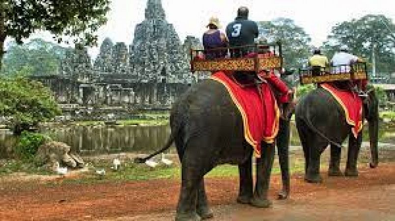 Elephant Rides