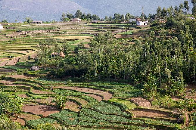 Idukki