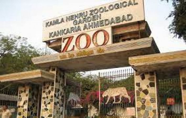 Kamala Nehru Zoo