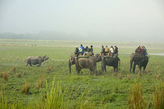 Kaziranga National Park