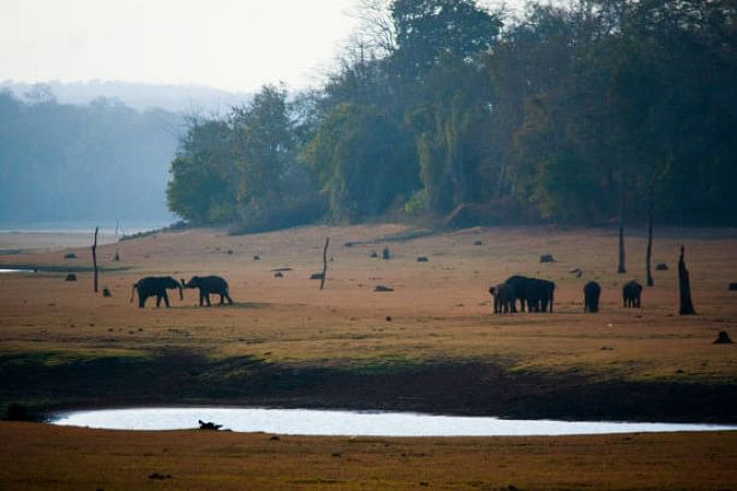 Nagarhole National Park