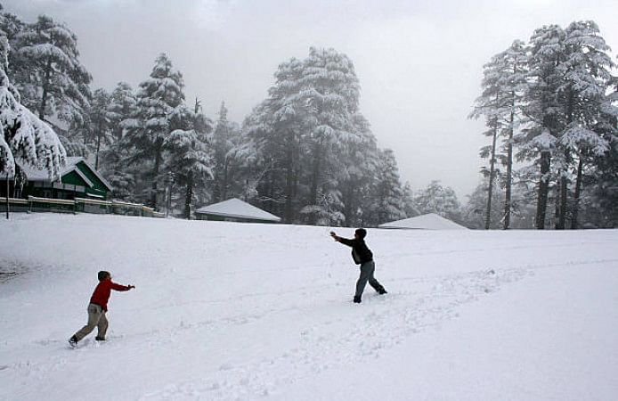 Patnitop