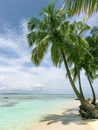 Alappuzha Beach