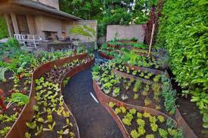 Terraced Garden