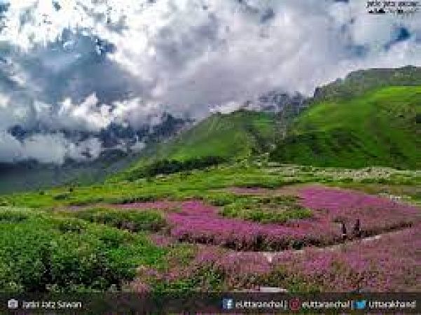 Valley Of Flowers