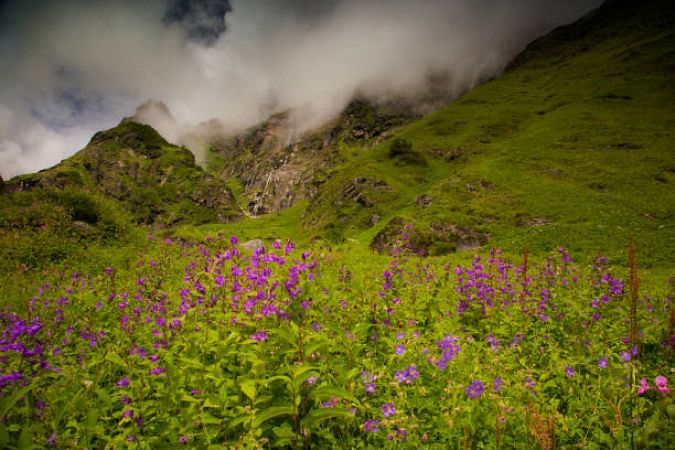 Valley of Flowers