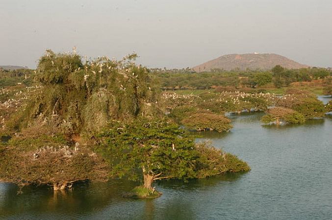 Vedanthangal