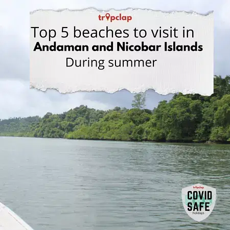 Top 5 beaches to visit in Andaman and Nicobar Islands during summer