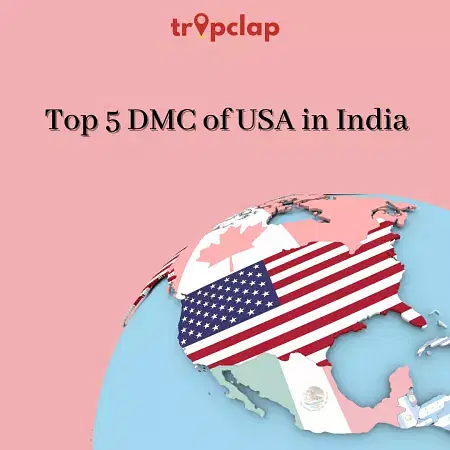 Top 5 DMC of USA in India in 2025