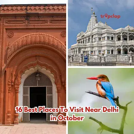 Best weekend destinations to visit with family near Delhi in October