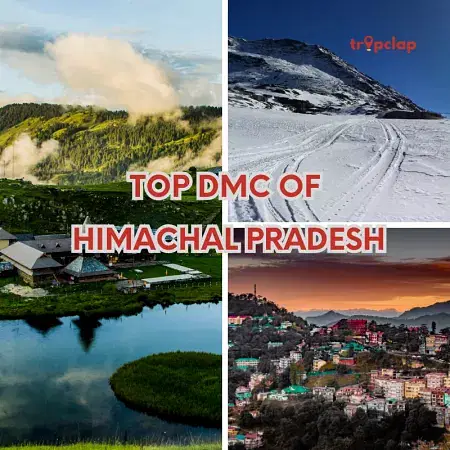 Top DMC of Himachal Pradesh