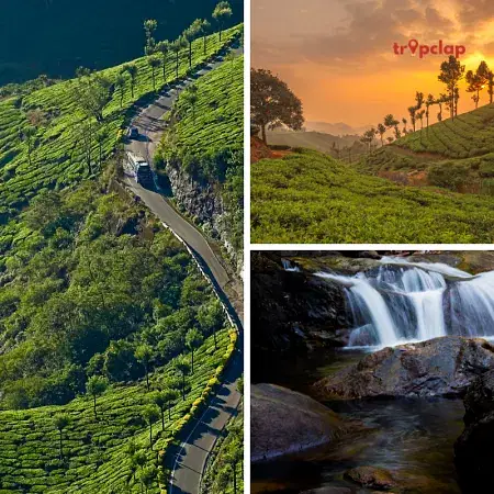 A guide to top places to visit in Munnar 